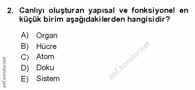 Soru 2