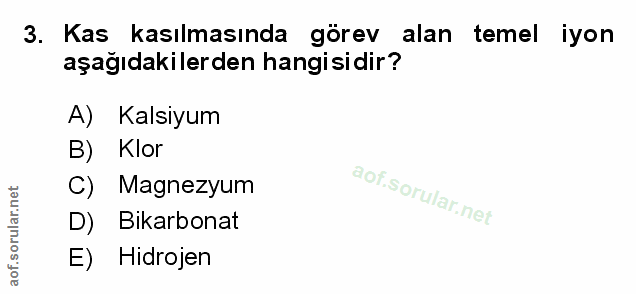 Soru 3