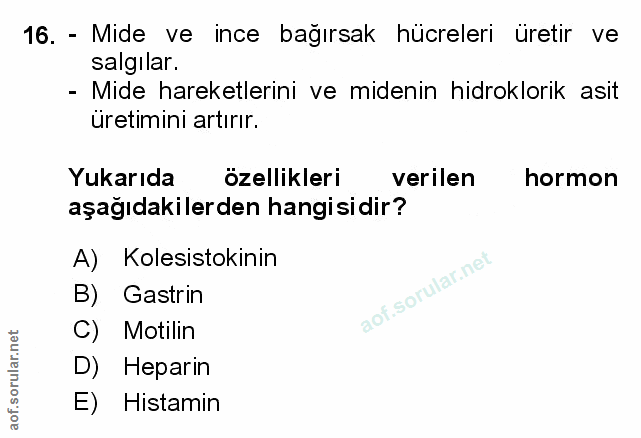 Soru 16
