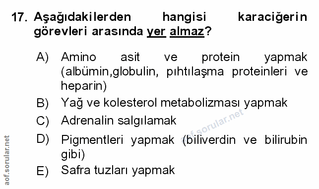 Soru 17