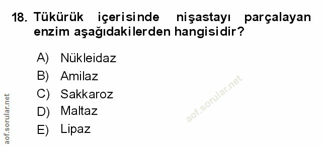 Soru 18