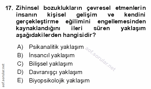 Soru 17