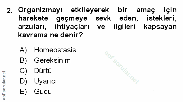 Soru 2
