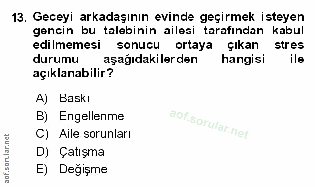 Soru 13