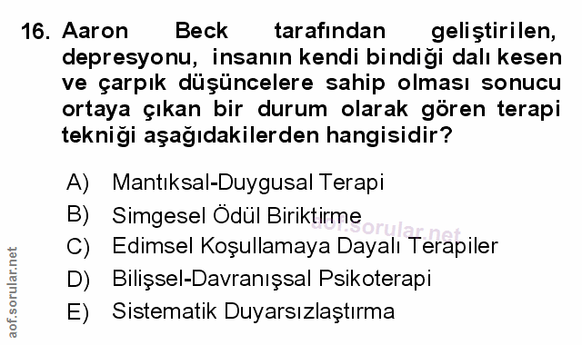 Soru 16