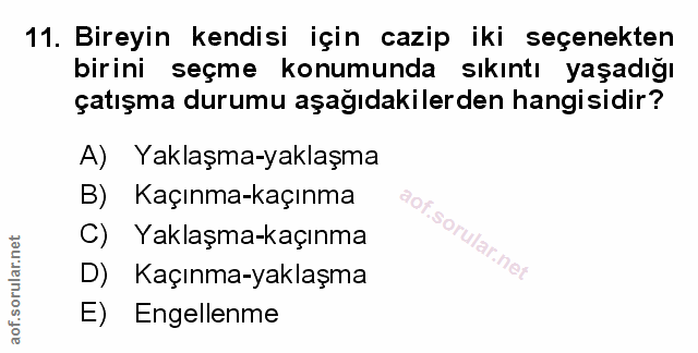 Soru 11