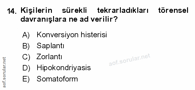 Soru 14