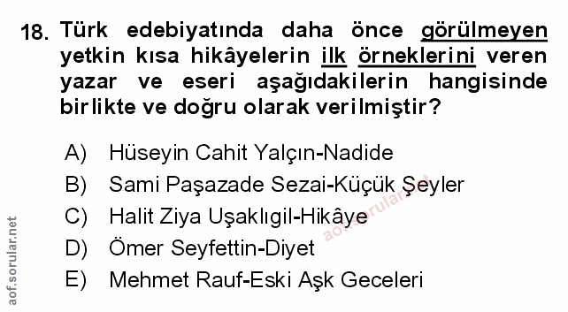 Soru 18