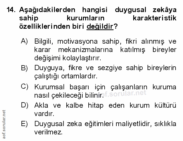 Soru 14