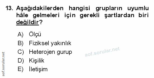 Soru 13