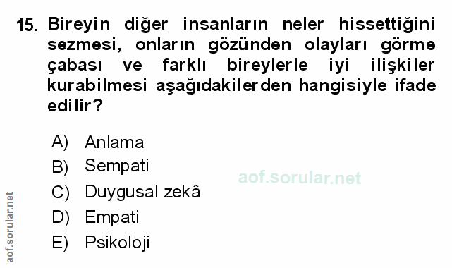 Soru 15