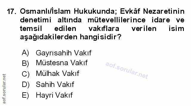 Soru 17