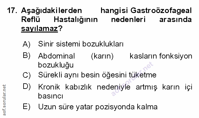 Soru 17