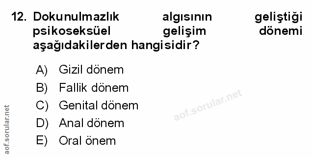 Soru 12