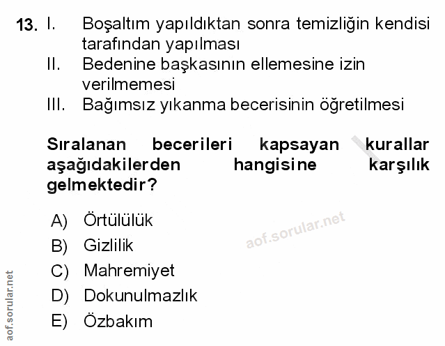 Soru 13