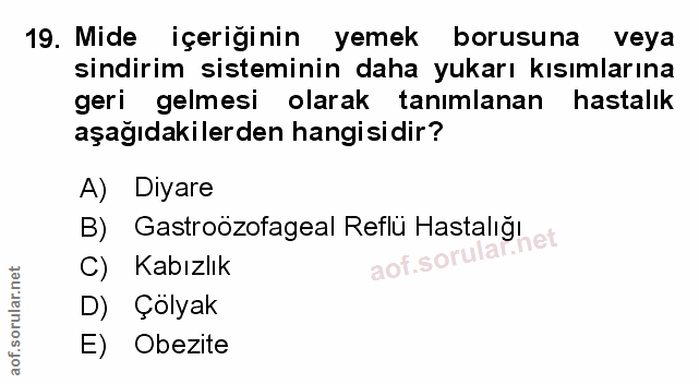 Soru 19
