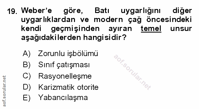 Soru 19