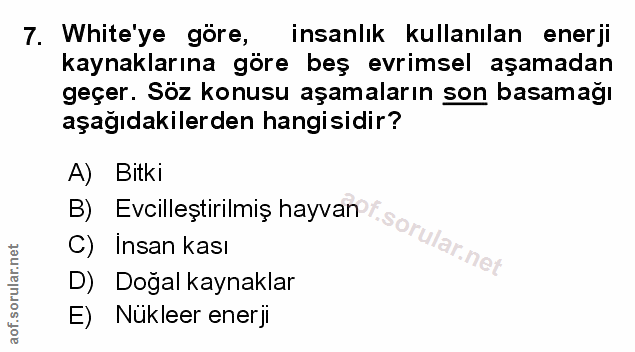 Soru 7