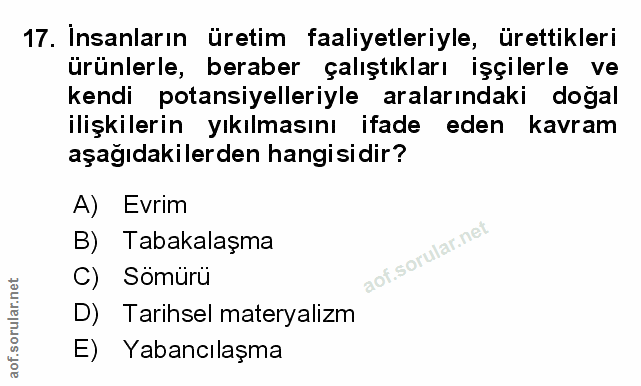 Soru 17