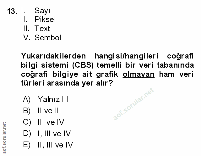 Soru 13