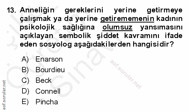 Soru 13