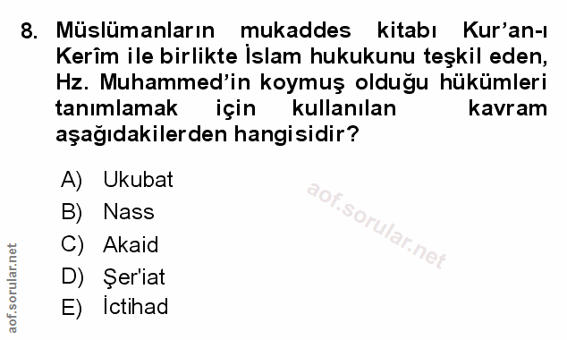 Soru 8