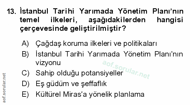 Soru 13