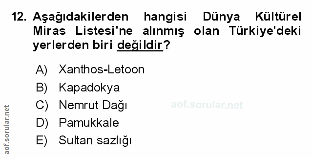 Soru 12