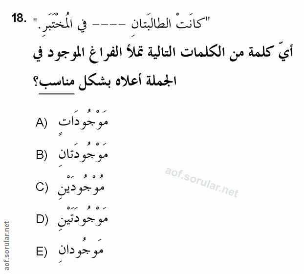 Soru 18