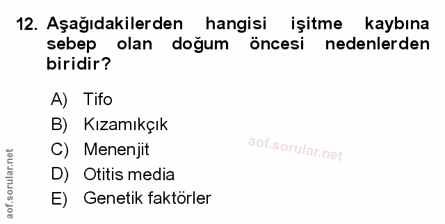 Soru 12