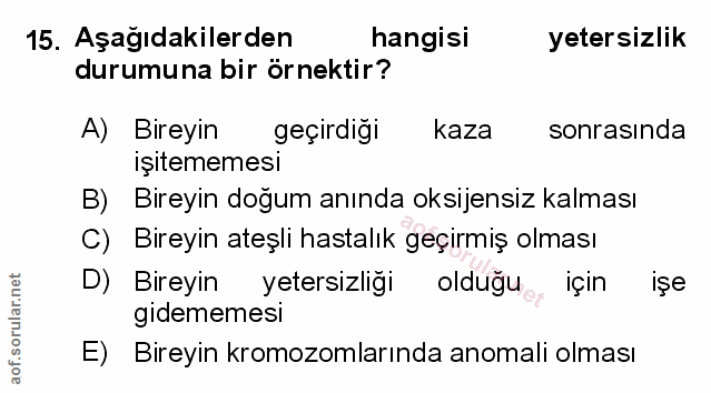 Soru 15