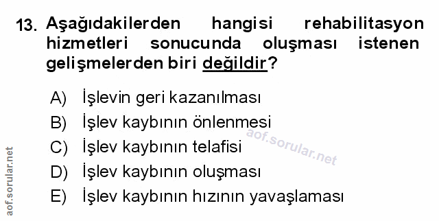 Soru 13