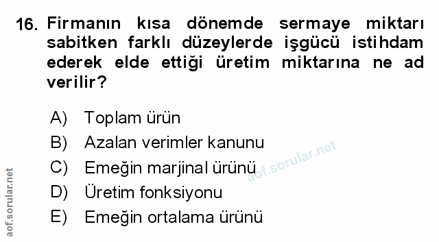 Soru 16