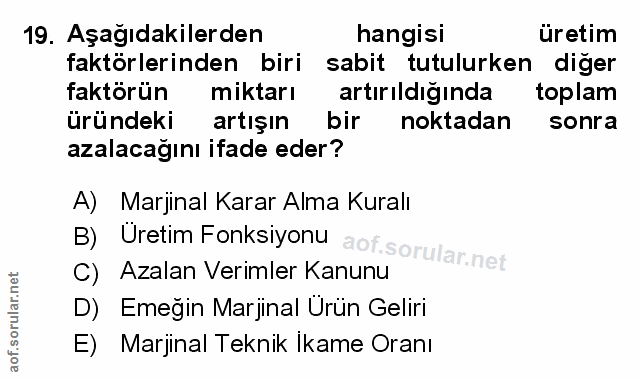 Soru 19