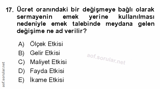 Soru 17