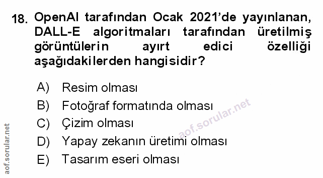 Soru 18
