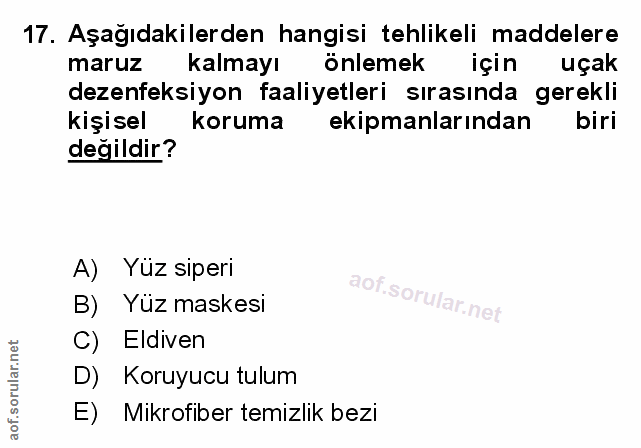 Soru 17