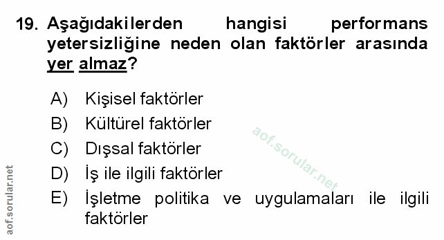 Soru 19