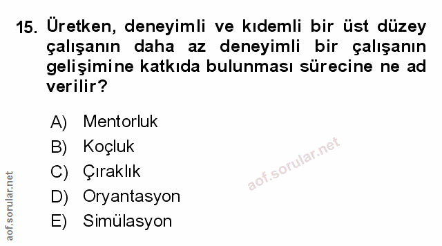 Soru 15