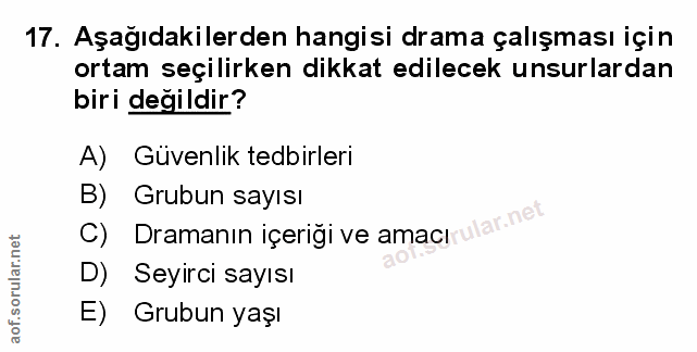 Soru 17