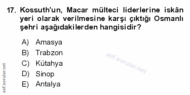Soru 17