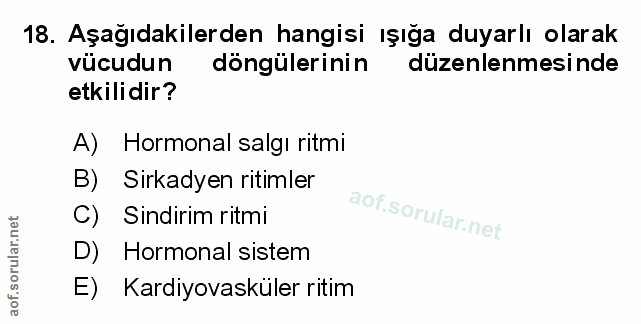 Soru 18