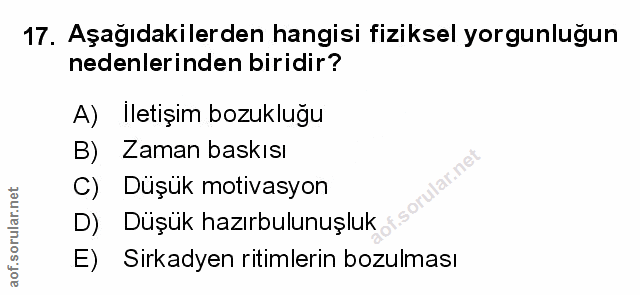 Soru 17