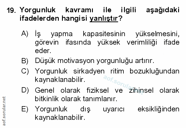 Soru 19