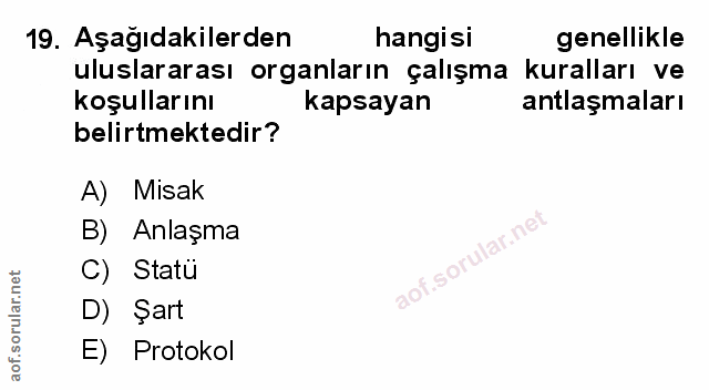 Soru 19