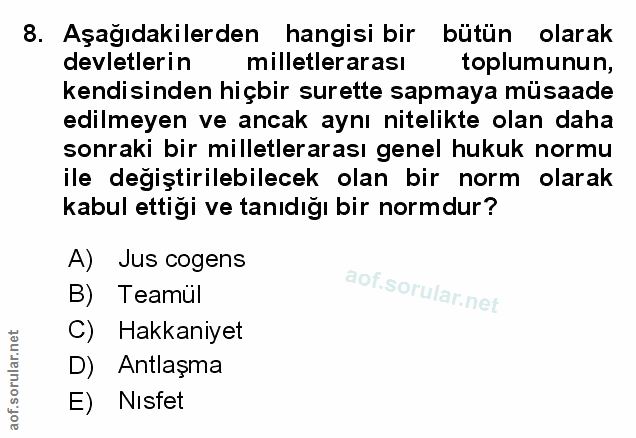 Soru 8