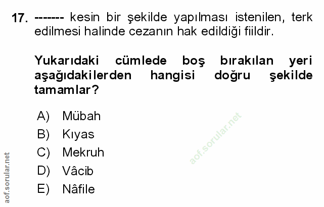 Soru 17