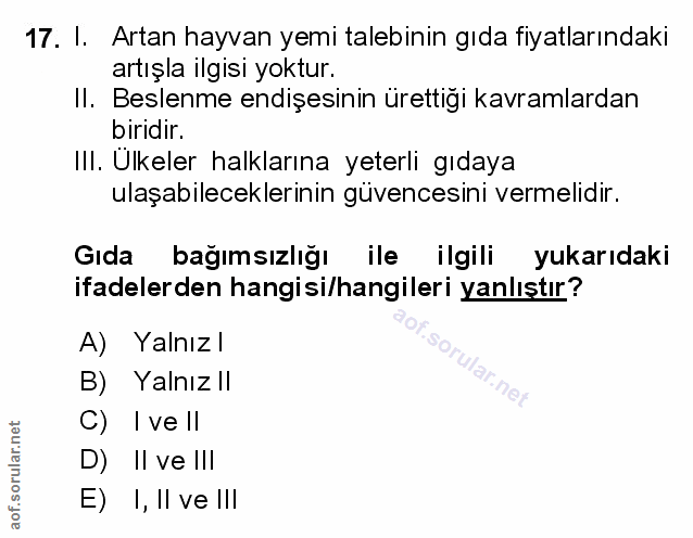 Soru 17