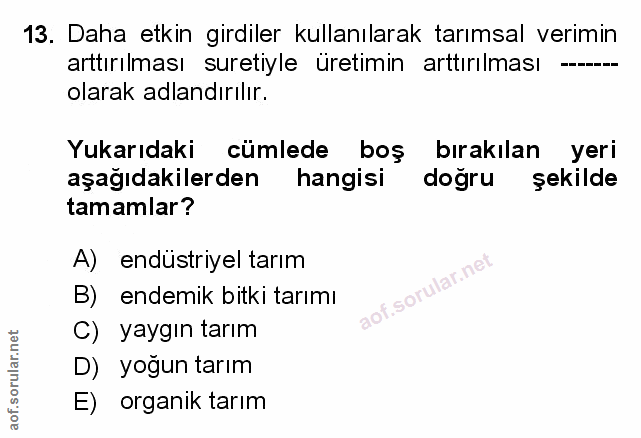 Soru 13