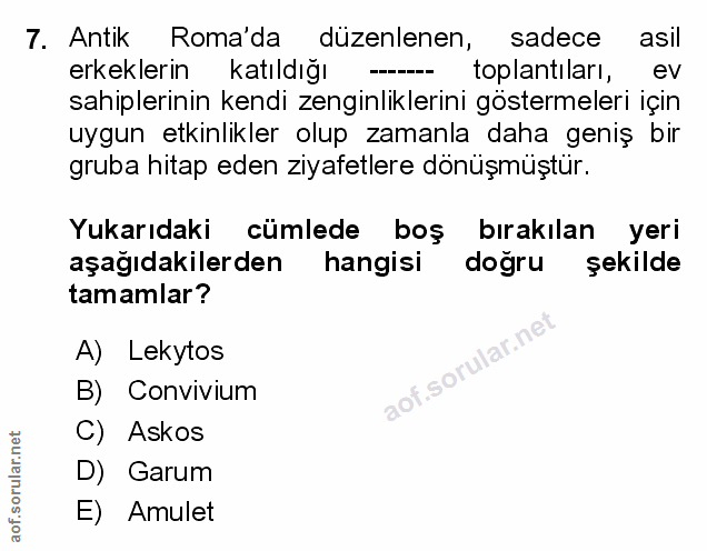 Soru 7